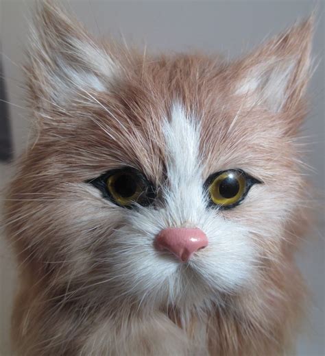 stuffed toy cat that meows|realistic cats that look real.